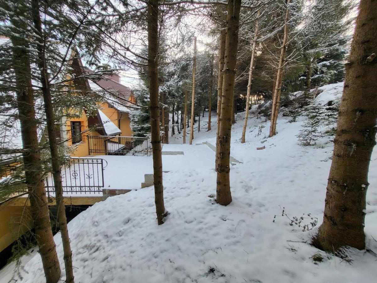 Pod Laskiem Krosnica  Exterior foto